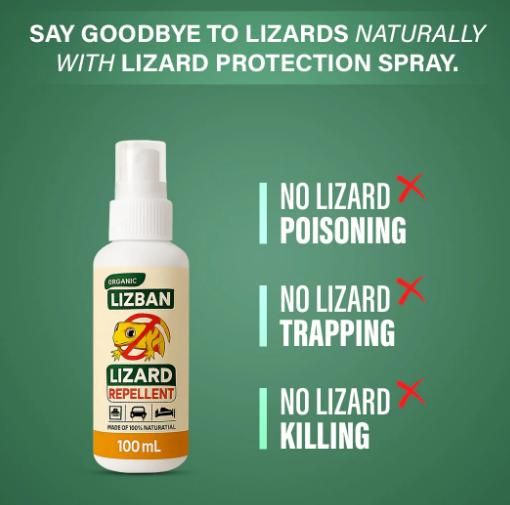 Lizard Repellent Spray 100Ml (Pack of 3) m2wvuk-pc