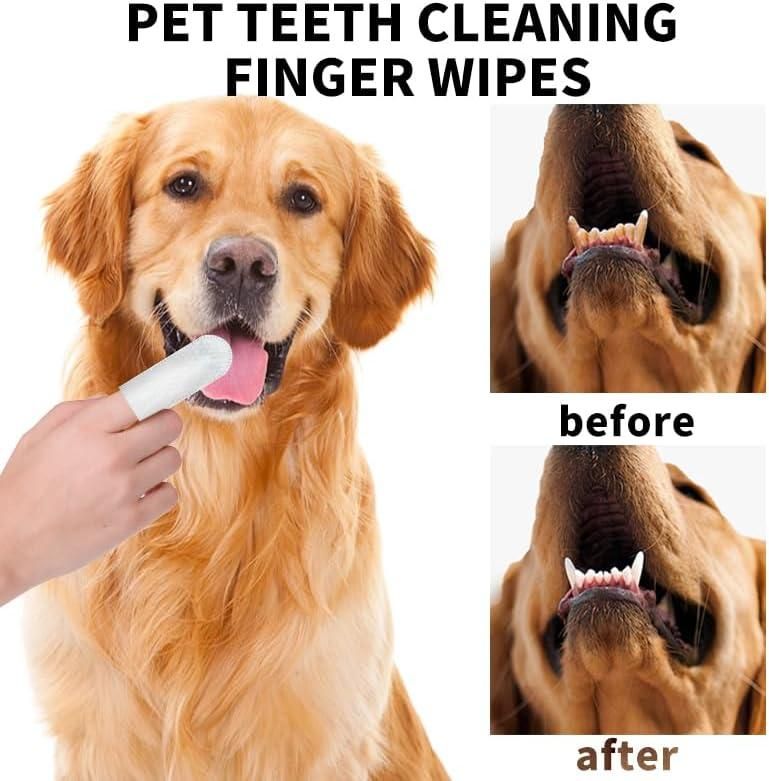 Disposable Dental Finger Wipes For Pets m2wvuk-pc